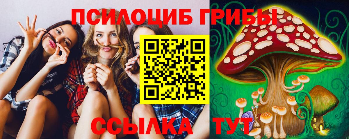продажа наркотиков  Псилоцибиновые грибы Cubensis  Псилоцибиновые грибы Magic Shrooms  Вход с VPN  Волгоград 